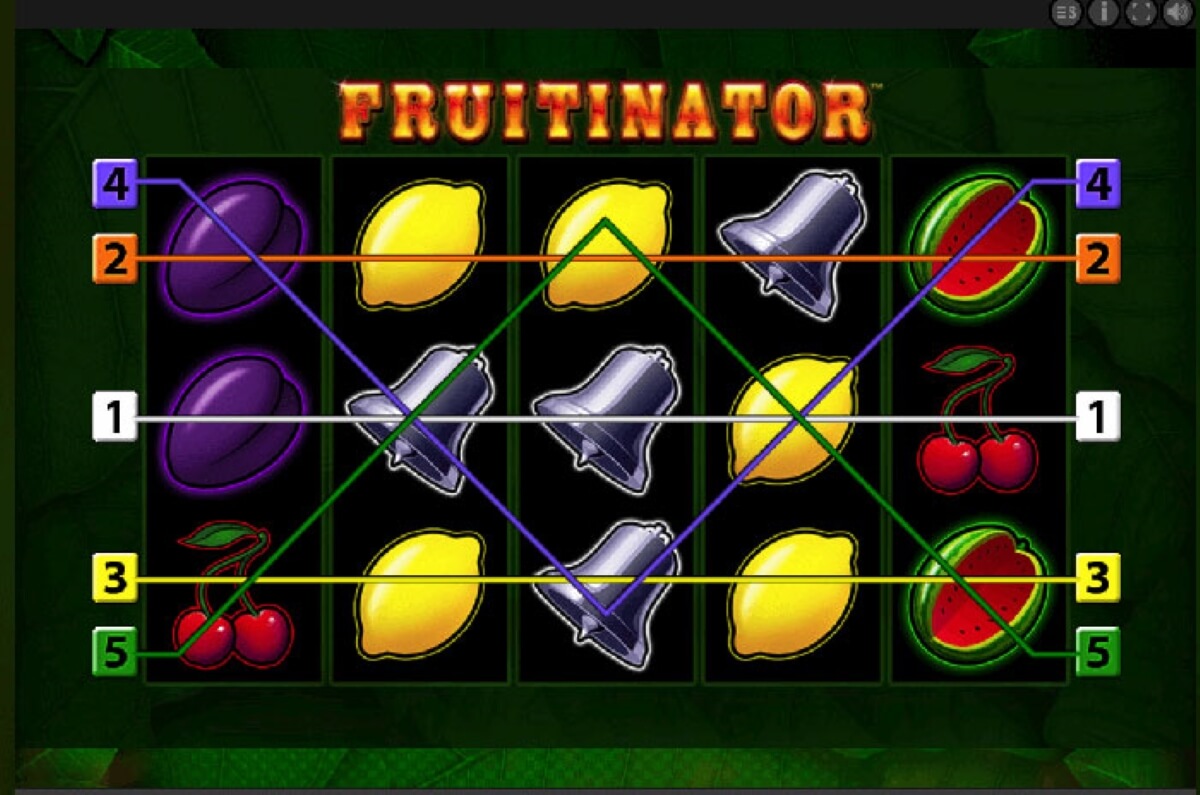 fruitinator slot paylines